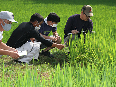 水稲プロジェクト事業巡回
