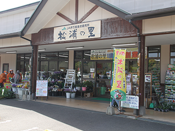 松浦の里