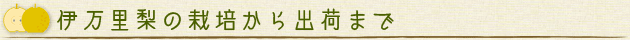 永井博士と伊万里梨