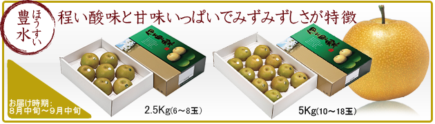 伊万里梨　豊水