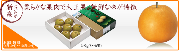 伊万里梨 新高